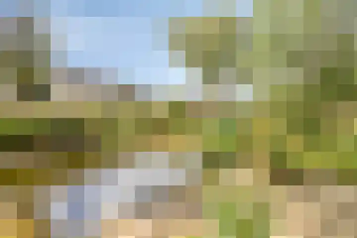 Marnelaan 10 Son en Breugel thumbnail 50