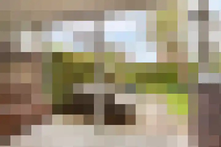 Marnelaan 28 Groningen thumbnail 22
