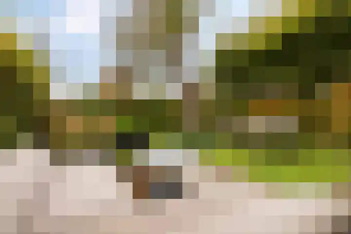 Marnelaan 28 Groningen thumbnail 23