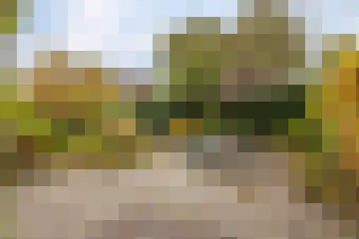 Marnelaan 28 Groningen thumbnail 40