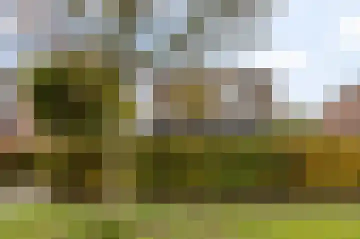 Marnelaan 28 Groningen thumbnail 42