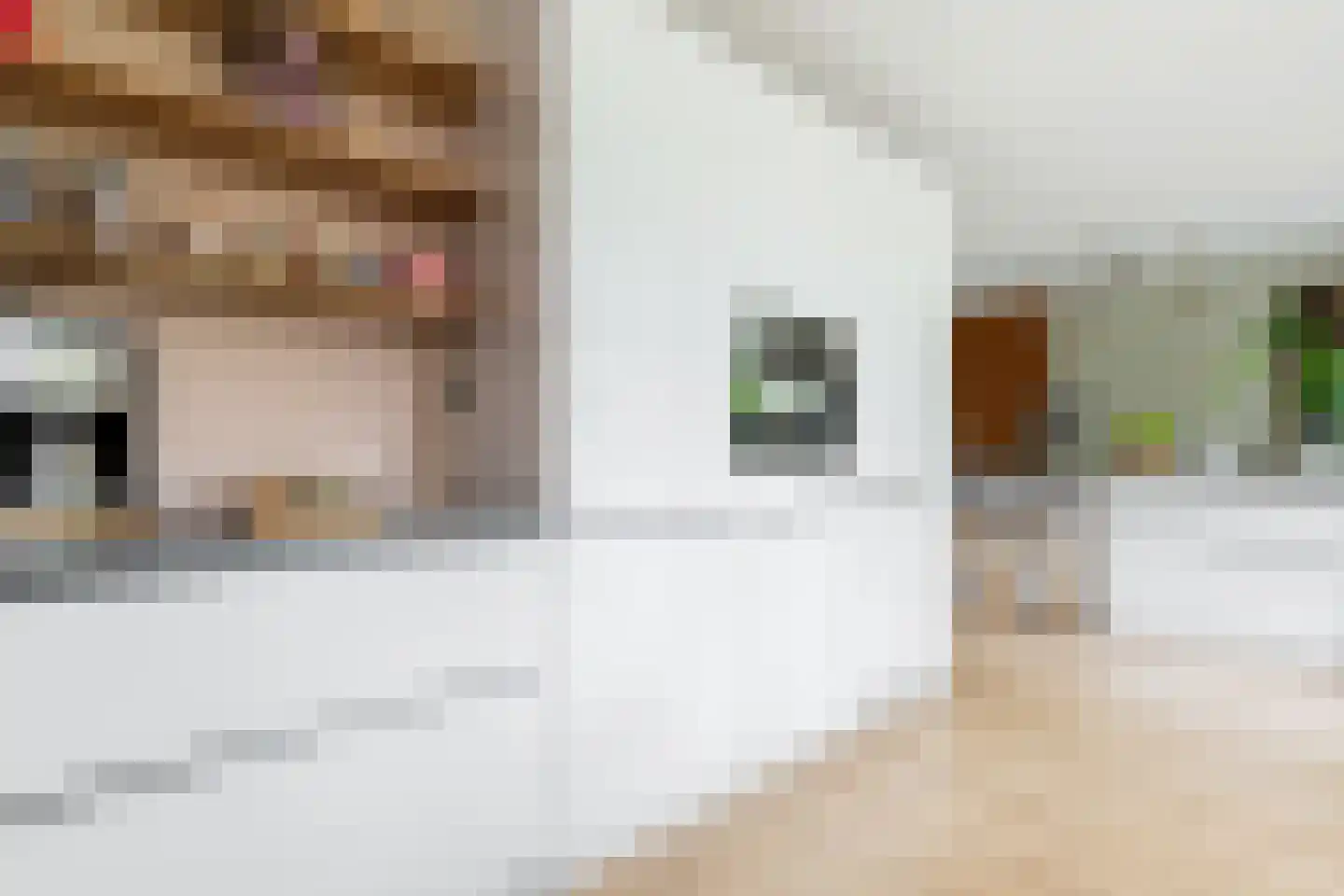 Marnelaan 33 Groningen thumbnail 18