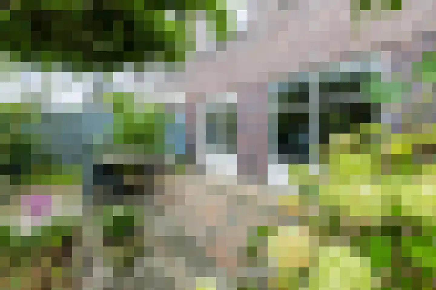 Marnelaan 33 Groningen thumbnail 45
