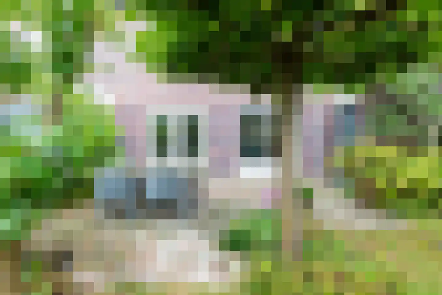 Marnelaan 33 Groningen thumbnail 51