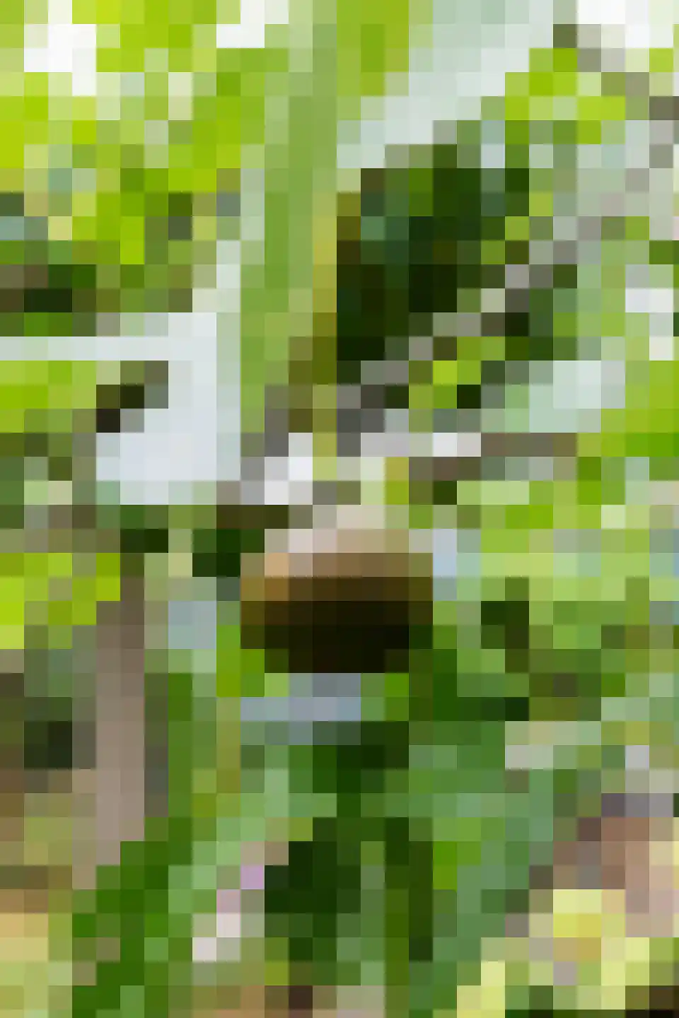 Marnelaan 33 Groningen thumbnail 52