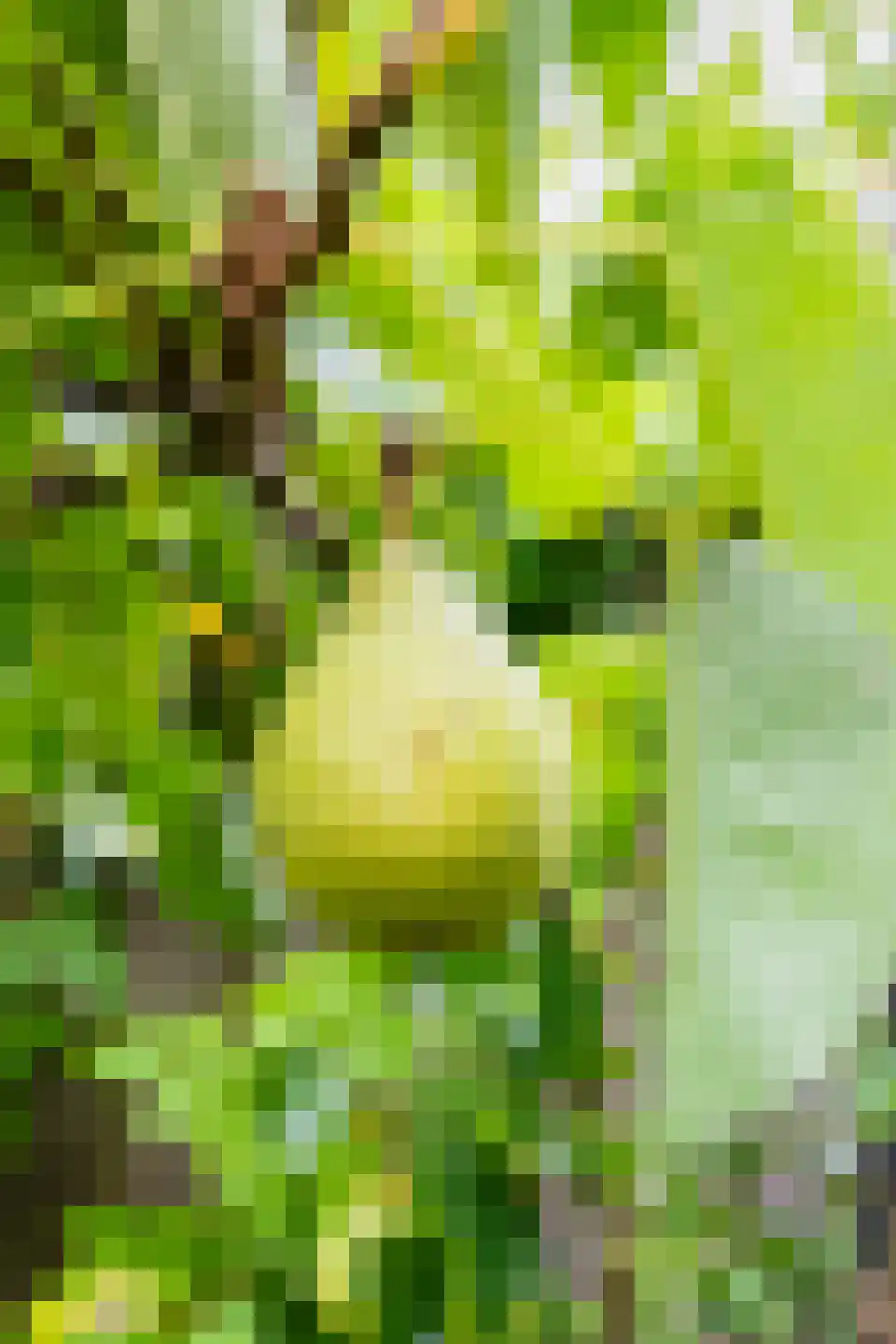 Marnelaan 33 Groningen thumbnail 53