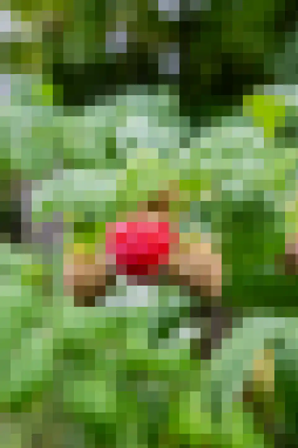 Marnelaan 33 Groningen thumbnail 54