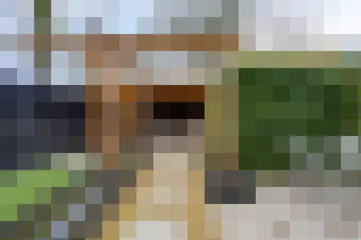 Marnepad 48 Assen thumbnail 18
