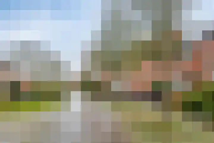 Marnepad 48 Assen thumbnail 39
