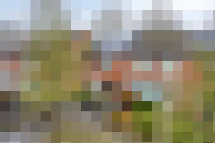 Marnepad 48 Assen thumbnail 40