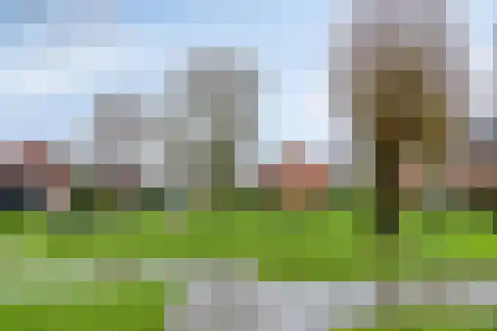 Marnepad 48 Assen thumbnail 41