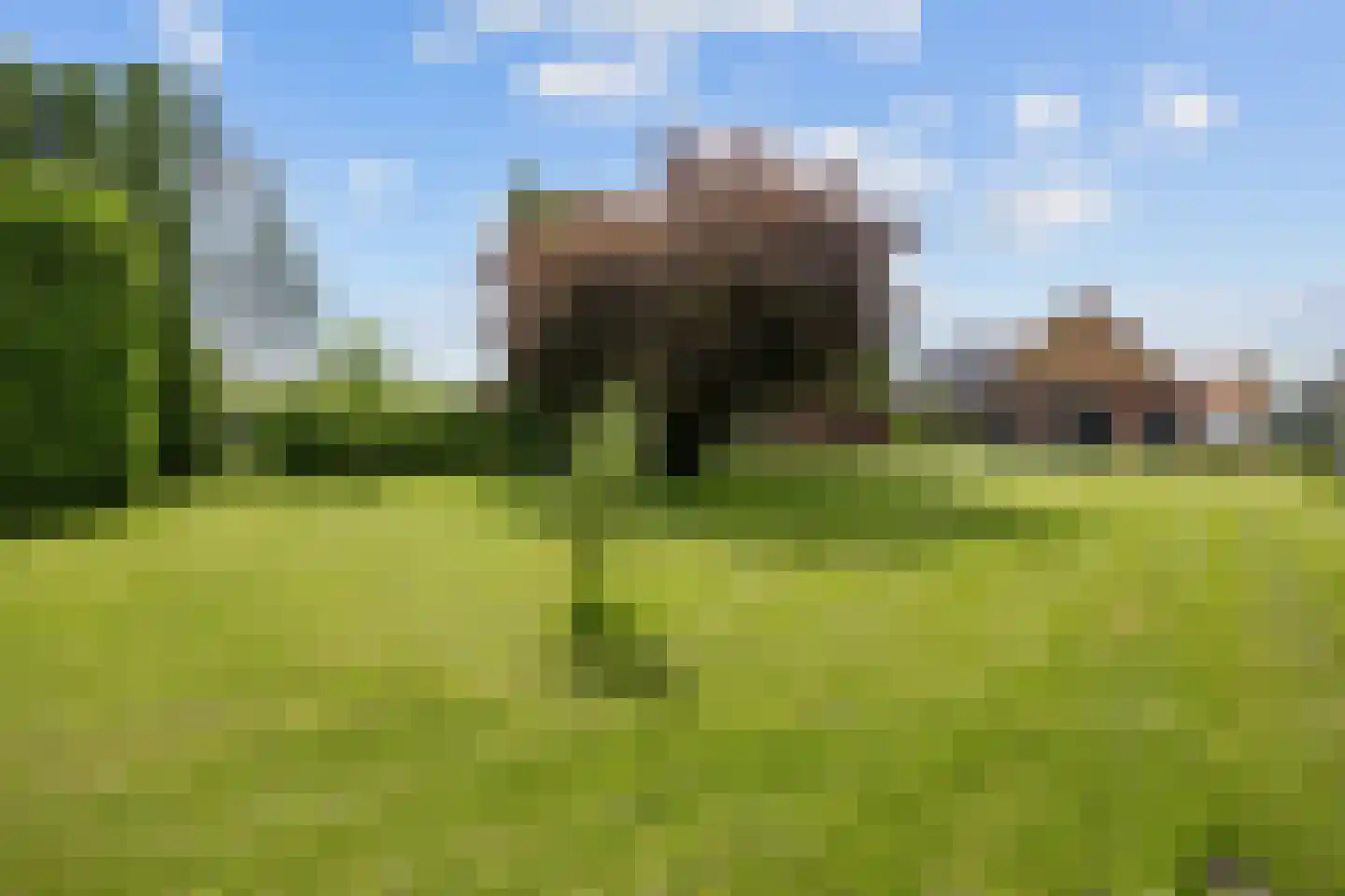 Marneweg 26 Kloosterburen thumbnail 39