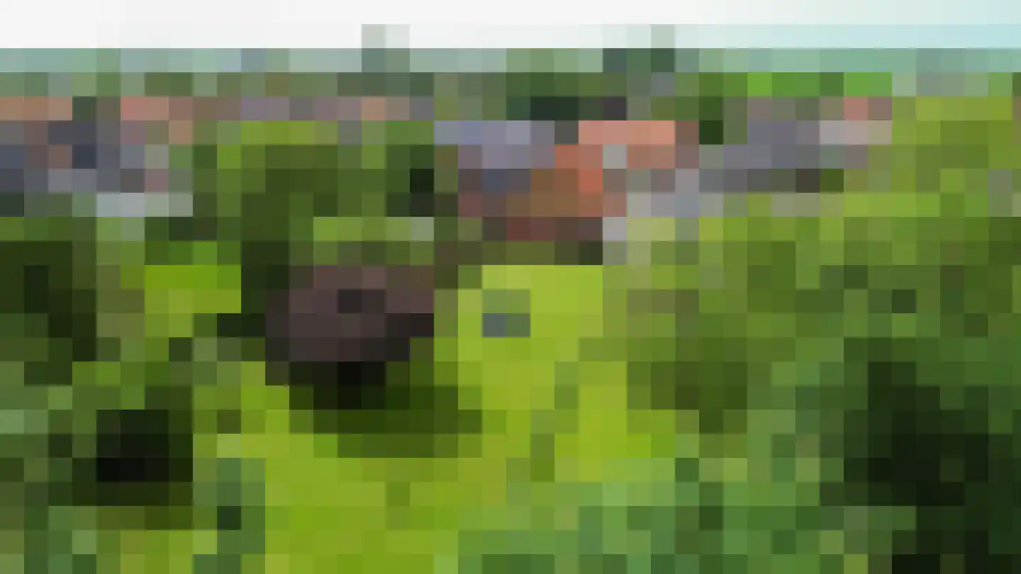 Marneweg 26 Kloosterburen thumbnail 6