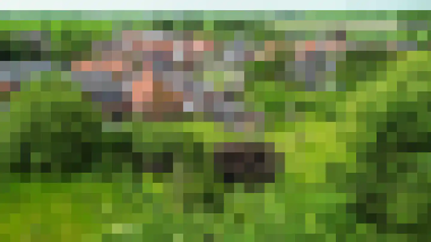 Marneweg 26 Kloosterburen thumbnail 7