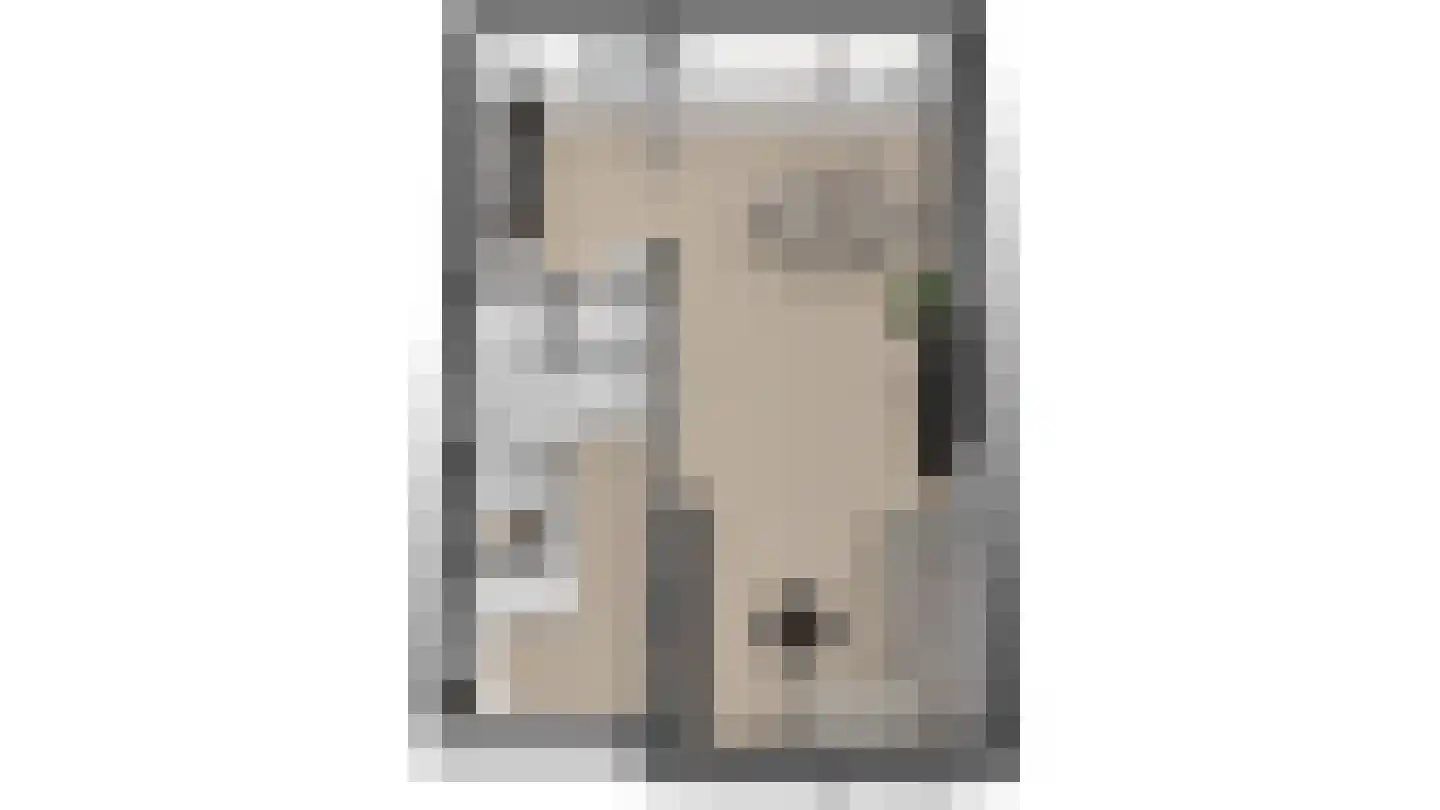 Marnezijlstraat 32 Sneek thumbnail 31