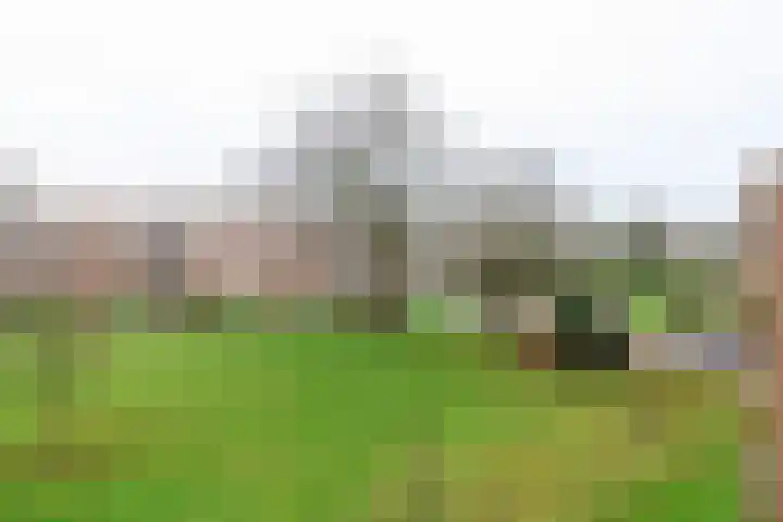 Marningeweg 1 c Leeuwarden thumbnail 17