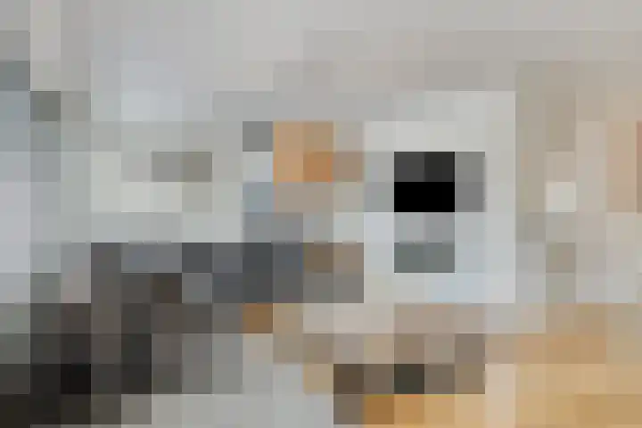 Marnix Gijsenstraat 5 Dongen thumbnail 14