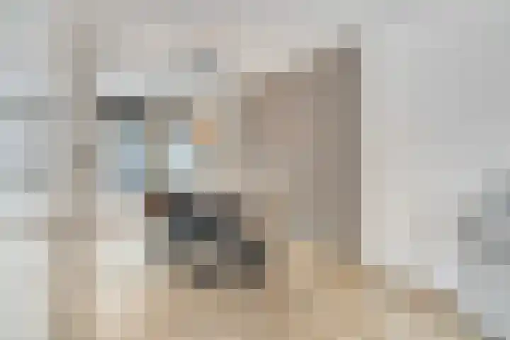Marnix Gijsenstraat 5 Dongen thumbnail 16