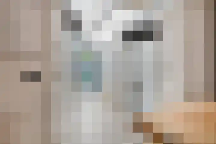 Marnix Gijsenstraat 5 Dongen thumbnail 17