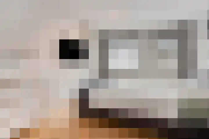 Marnix Gijsenstraat 5 Dongen thumbnail 4