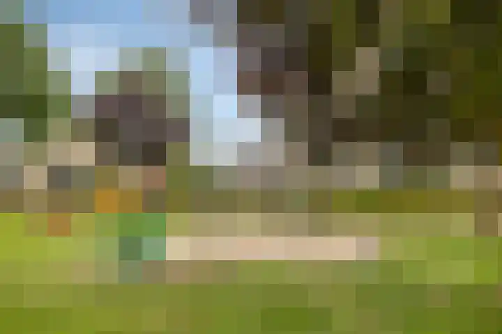 Marnix Gijsenstraat 5 Dongen thumbnail 41