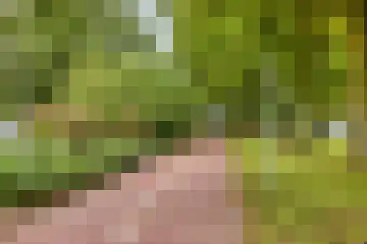 Marnix Gijsenstraat 5 Dongen thumbnail 43