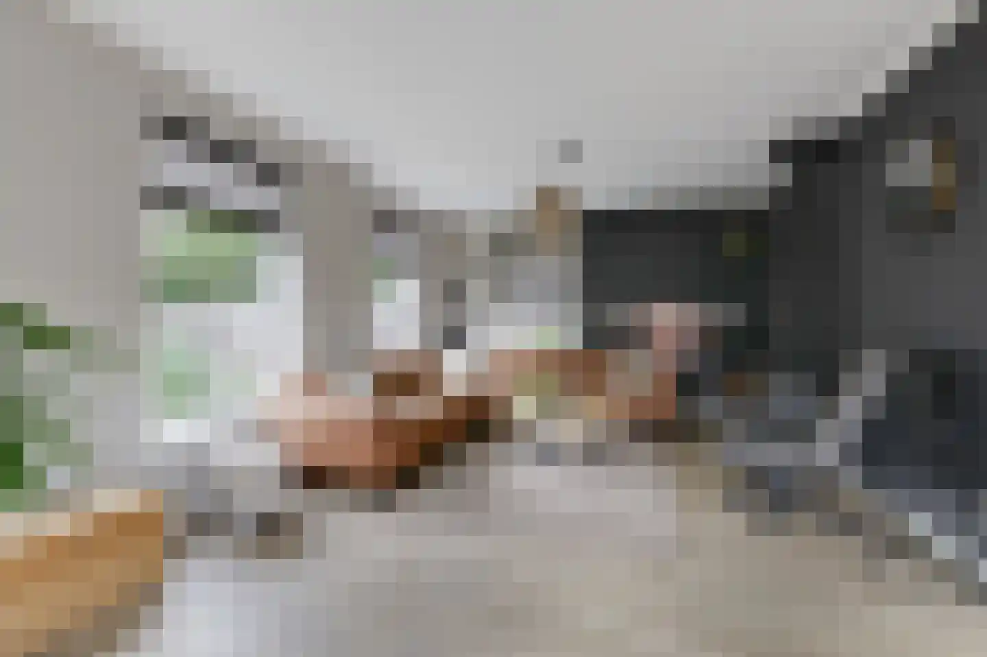 Marnix Gijsenstraat 52 Duiven thumbnail 15