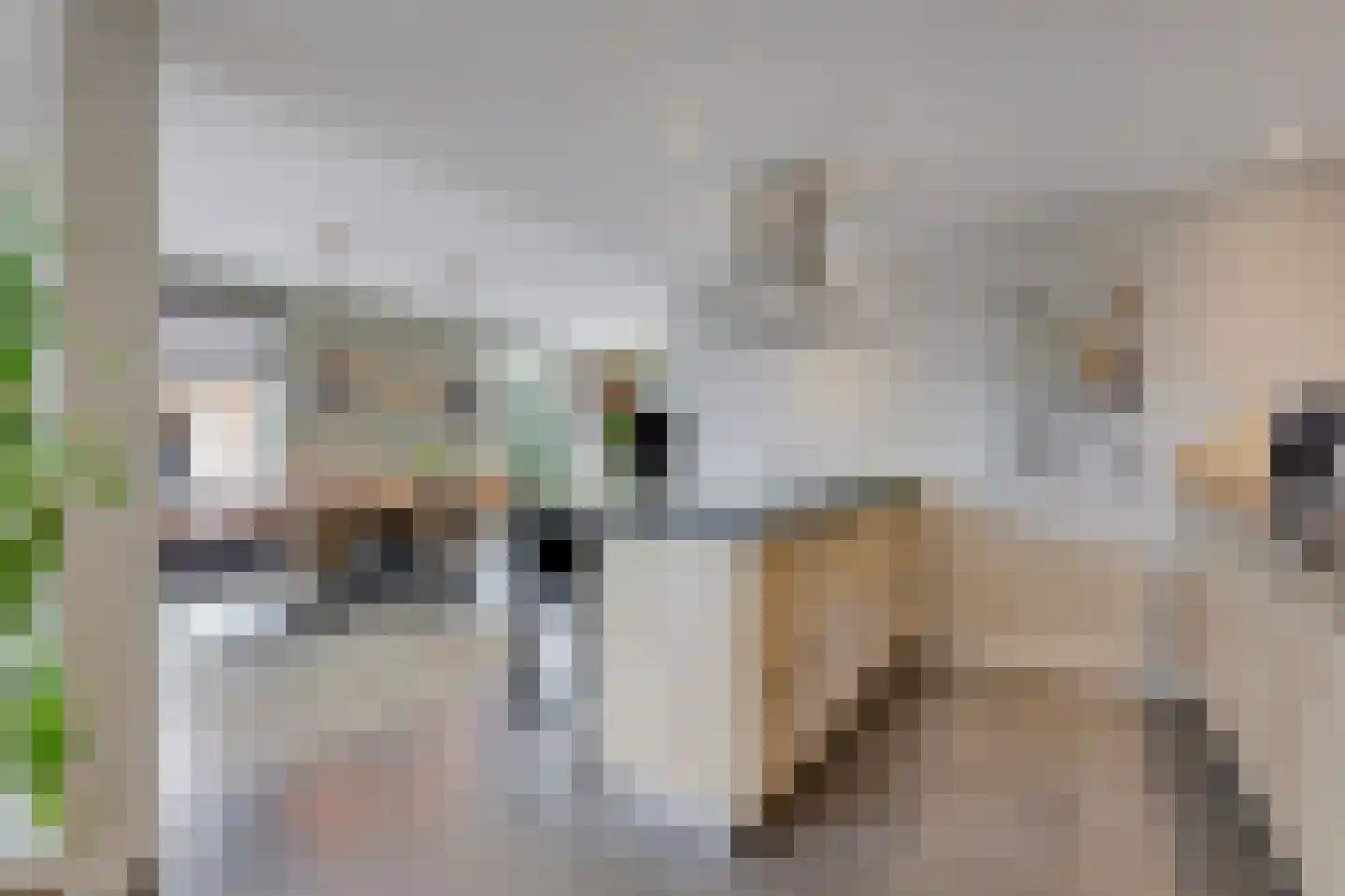 Marnix Gijsenstraat 52 Duiven thumbnail 25