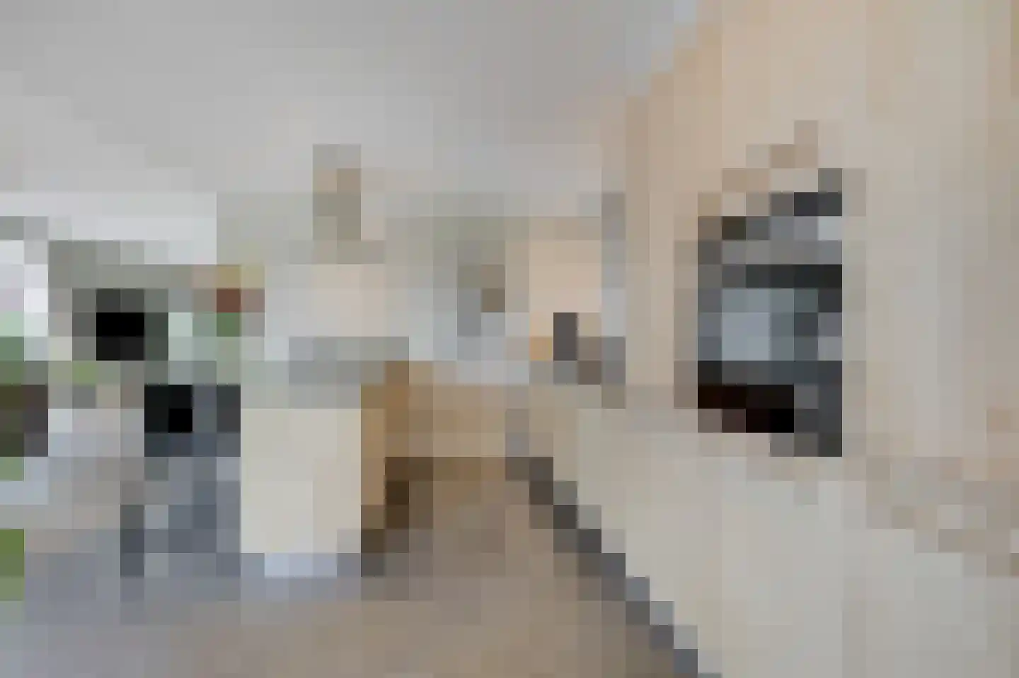 Marnix Gijsenstraat 52 Duiven thumbnail 26