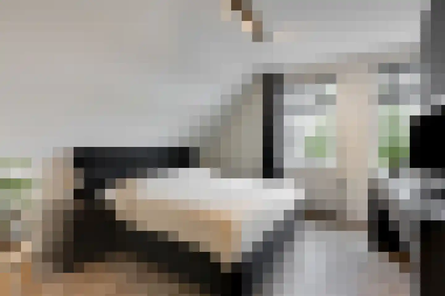 Marnix Gijsenstraat 52 Duiven thumbnail 36