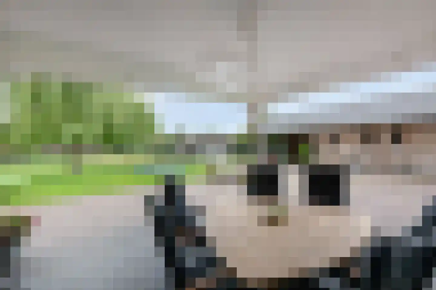 Marnix Gijsenstraat 52 Duiven thumbnail 64