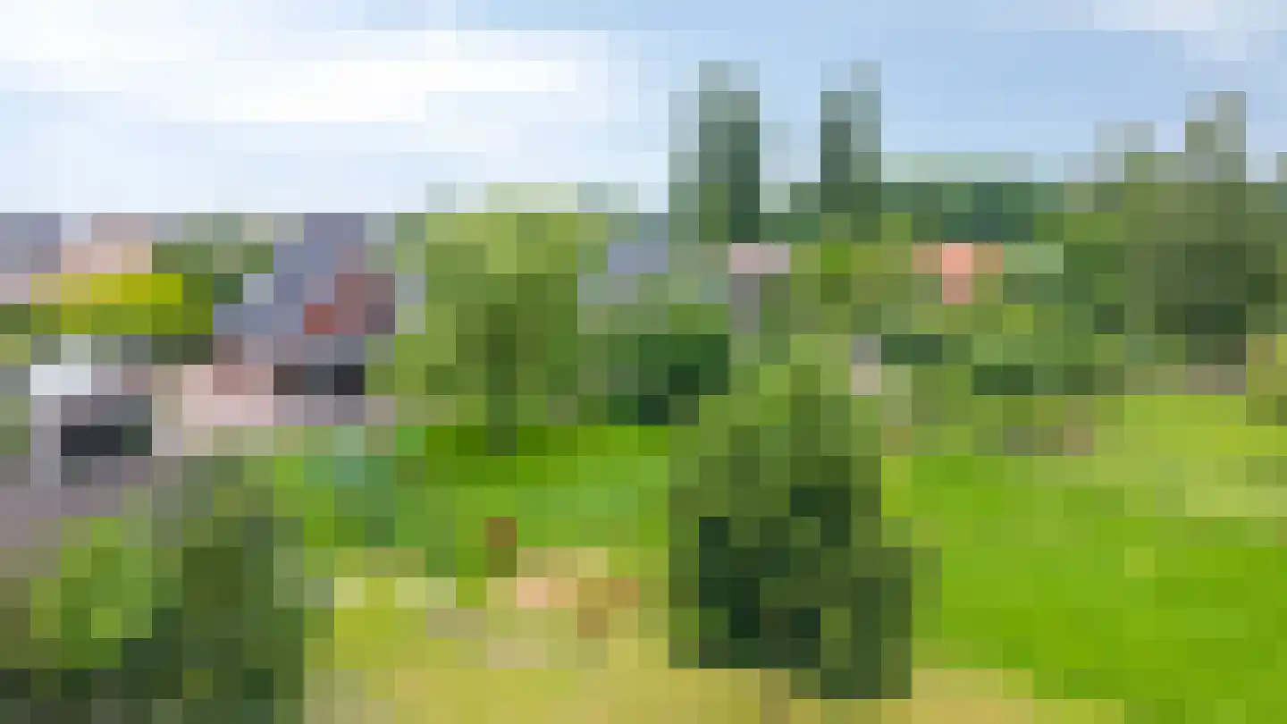 Marnix Gijsenstraat 52 Duiven thumbnail 78