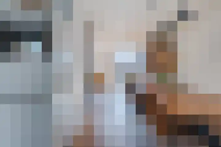 Marnix Gijsenstraat 7 Dongen thumbnail 12