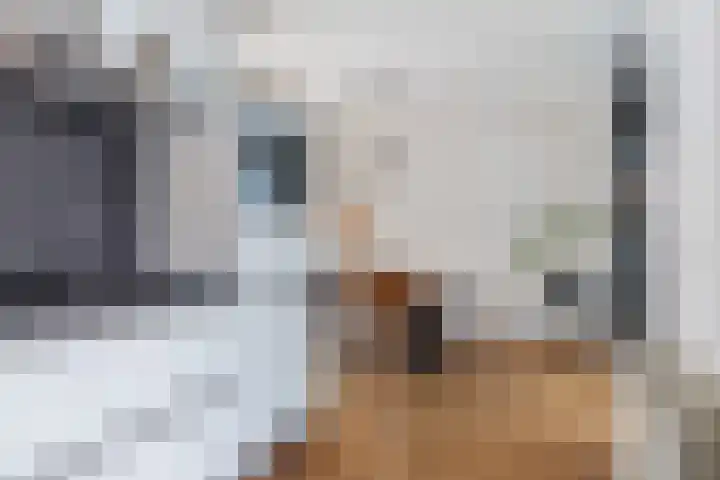 Marnix Gijsenstraat 7 Dongen thumbnail 16
