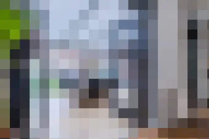 Marnix Gijsenstraat 7 Dongen thumbnail 17
