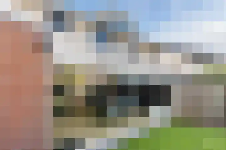 Marnix Gijsenstraat 7 Dongen thumbnail 20