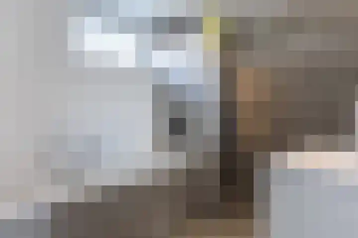 Marnix Gijsenstraat 7 Dongen thumbnail 30