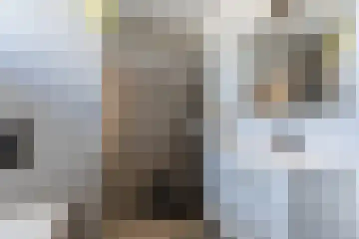 Marnix Gijsenstraat 7 Dongen thumbnail 31