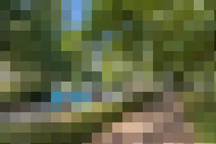 Marnix Gijsenstraat 7 Dongen thumbnail 47