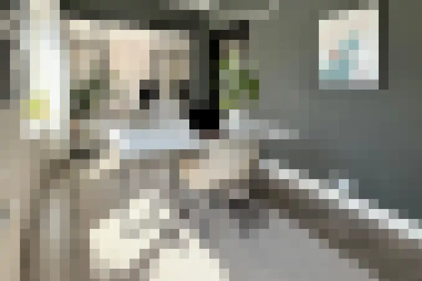 Marnix van Sint Aldegondestraat 1 Zandvoort thumbnail 10