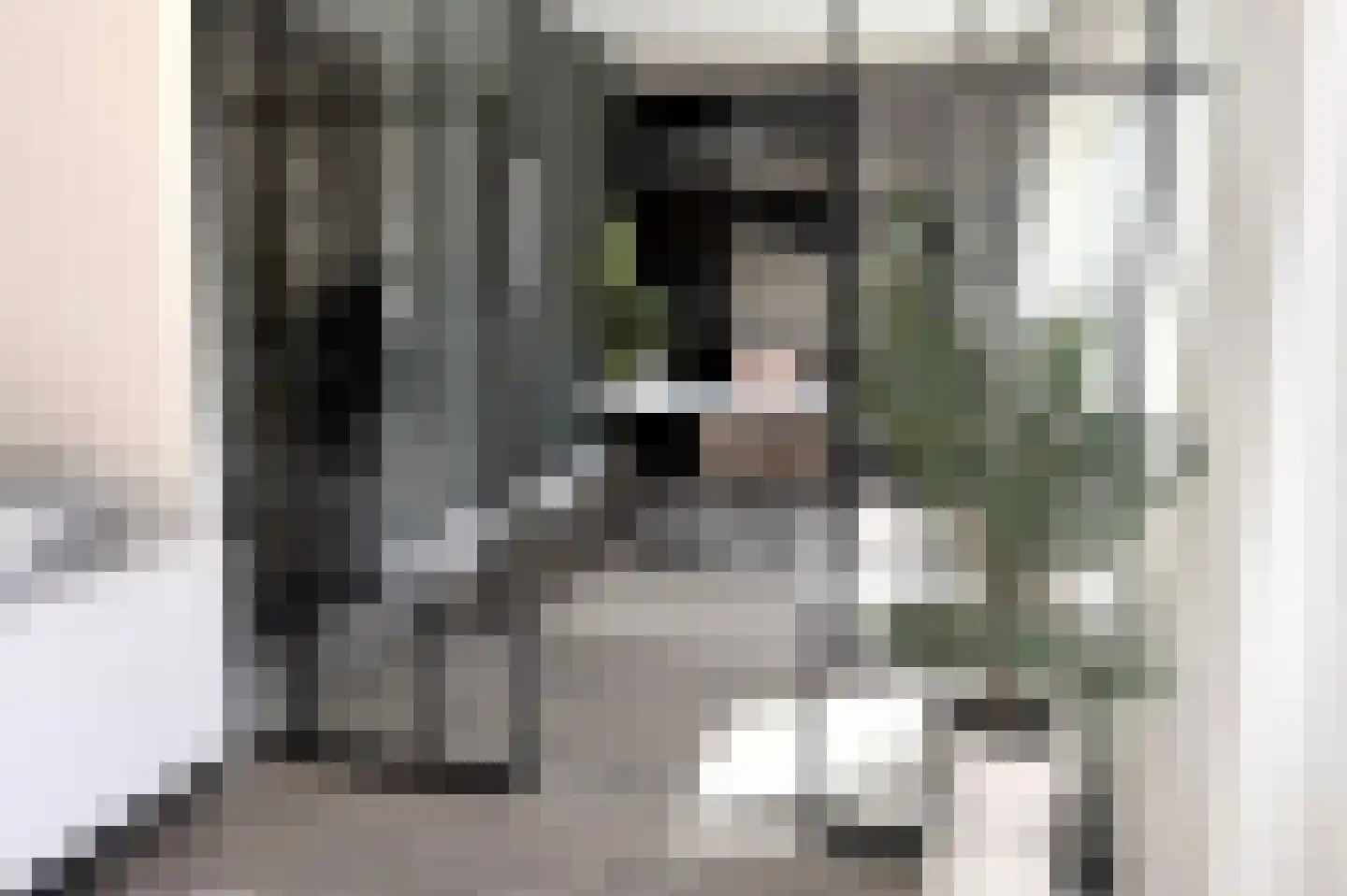 Marnix van Sint Aldegondestraat 1 Zandvoort thumbnail 11