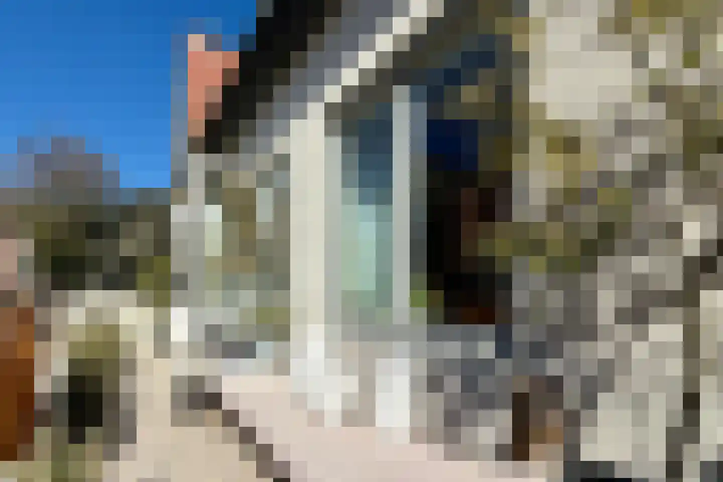 Marnix van Sint Aldegondestraat 1 Zandvoort thumbnail 5