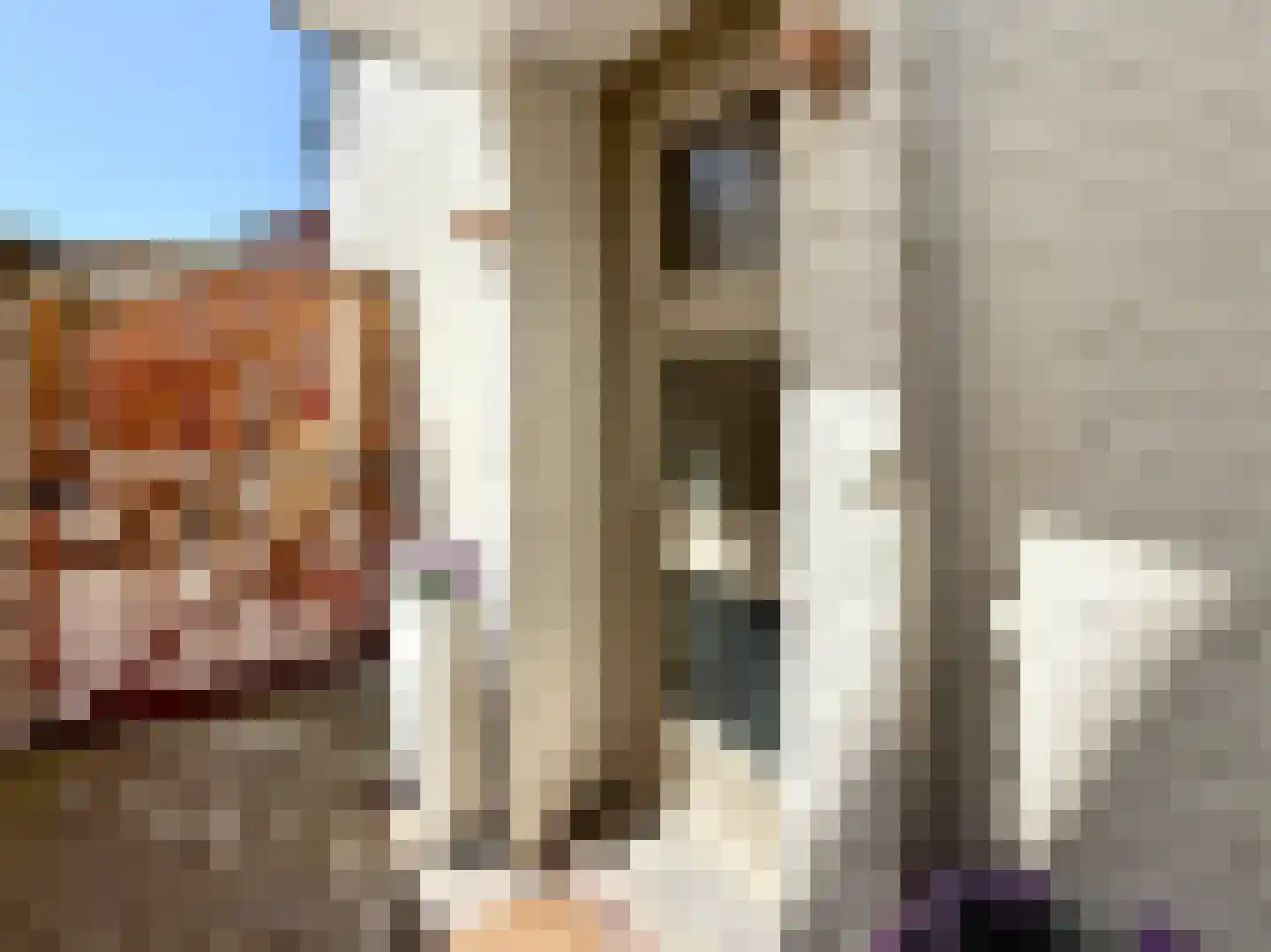 Marnix van Sint Aldegondestraat 1 Zandvoort thumbnail 7