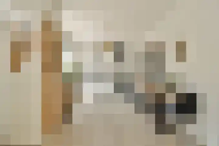 Marnix van Sint Aldegondestraat 13 Zandvoort thumbnail 6