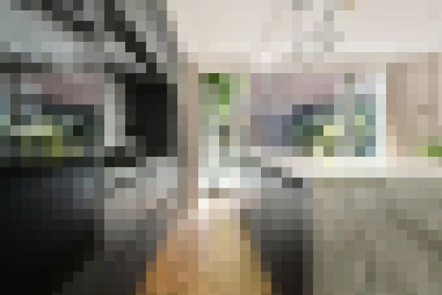 Marnixkade 13 H Amsterdam thumbnail 11