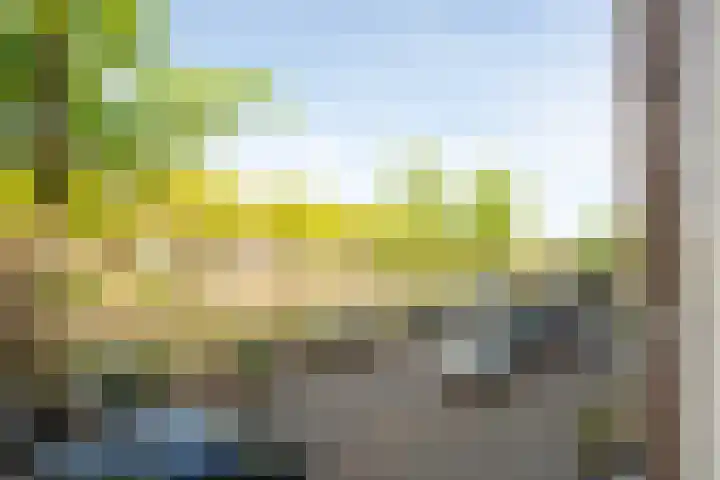 Marnixkade 14 2 Amsterdam thumbnail 10