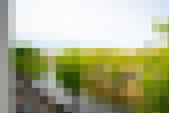 Marnixkade 14 2 Amsterdam thumbnail 5