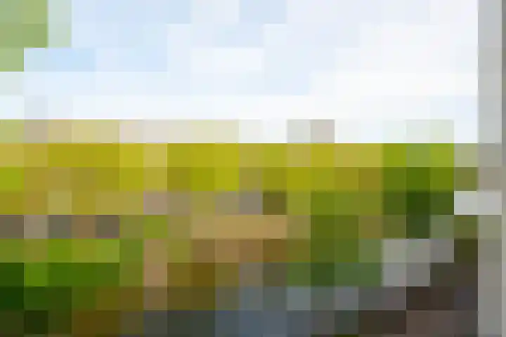 Marnixkade 14 2 Amsterdam thumbnail 6