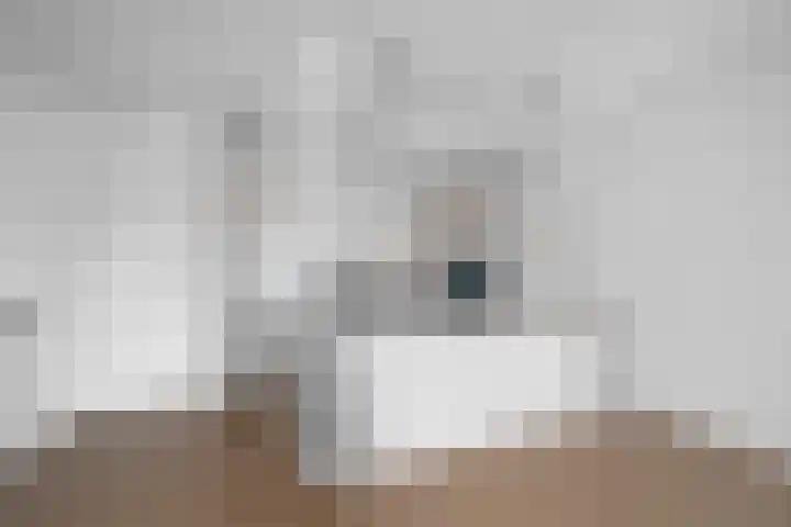 Marnixkade 18 4 Amsterdam thumbnail 7