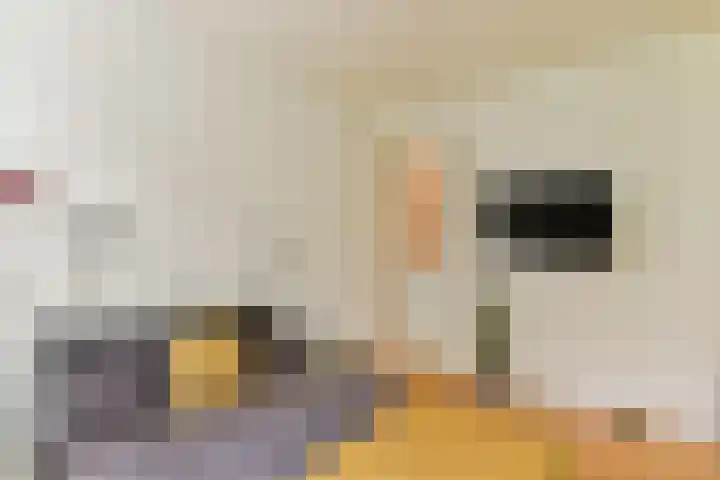 Marnixkade 26 1 Amsterdam thumbnail 15